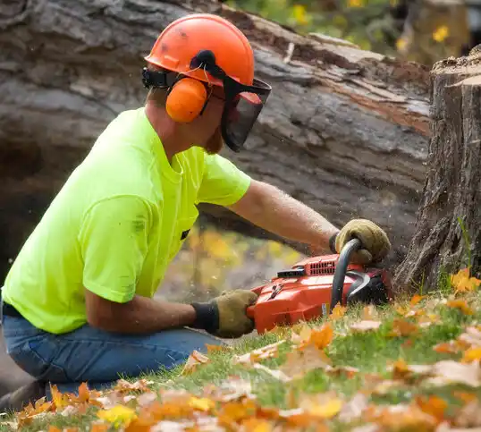 tree services Tickfaw